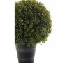 Emerald Artificial Boxwood Ball 2 pcs 53 cm 417630 by , artificial flora - Ref: Foro24-414515, Price: 240,64 €, Discount: %