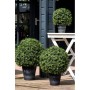 Emerald Artificial Boxwood Ball 2 pcs 53 cm 417630 by , artificial flora - Ref: Foro24-414515, Price: 240,64 €, Discount: %