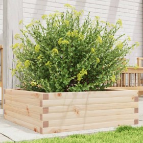 Solid pine wood planter 70x70x23 cm by , Pots and planters - Ref: Foro24-847193, Price: 68,99 €, Discount: %