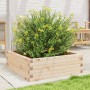 Jardinera de madera maciza de pino 70x70x23 cm de , Maceteros y jardineras - Ref: Foro24-847193, Precio: 68,99 €, Descuento: %