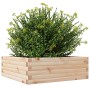 Jardinera de madera maciza de pino 70x70x23 cm de , Maceteros y jardineras - Ref: Foro24-847193, Precio: 68,99 €, Descuento: %