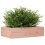 Jardinera madera maciza de abeto Douglas 90x60x23 cm de , Maceteros y jardineras - Ref: Foro24-847236, Precio: 64,55 €, Descu...