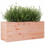 Jardinera madera maciza de abeto Douglas 110x40x45,5 cm de , Maceteros y jardineras - Ref: Foro24-847276, Precio: 119,28 €, D...