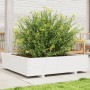 Jardinera madera maciza de pino blanco 100x100x26,5 cm de , Maceteros y jardineras - Ref: Foro24-847319, Precio: 125,36 €, De...