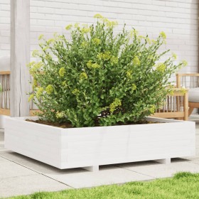 Jardinera madera maciza de pino blanco 100x100x26,5 cm de , Maceteros y jardineras - Ref: Foro24-847319, Precio: 125,99 €, De...