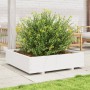 Jardinera madera maciza de pino blanco 100x100x26,5 cm de , Maceteros y jardineras - Ref: Foro24-847319, Precio: 125,99 €, De...