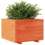 Jardinera madera maciza de pino marrón cera 70x70x49,5 cm de , Maceteros y jardineras - Ref: Foro24-847365, Precio: 144,29 €,...