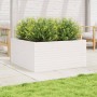 Jardinera madera maciza de pino blanco 100x100x46 cm de , Maceteros y jardineras - Ref: Foro24-3282430, Precio: 218,24 €, Des...