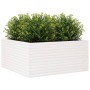 Jardinera madera maciza de pino blanco 100x100x46 cm de , Maceteros y jardineras - Ref: Foro24-3282430, Precio: 218,24 €, Des...