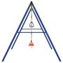 Juego de columpios de exterior con trapecio y escalera de , Columpios y estructuras de juegos - Ref: Foro24-3283602, Precio: ...