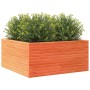 Jardinera de madera maciza pino marrón cera 100x100x46 cm de , Maceteros y jardineras - Ref: Foro24-3282431, Precio: 218,24 €...