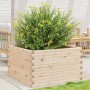 Jardinera de madera maciza de pino 80x80x46 cm de , Maceteros y jardineras - Ref: Foro24-3282419, Precio: 148,95 €, Descuento: %