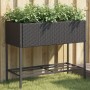 Jardinera con estante ratán sintético negro de , Maceteros y jardineras - Ref: Foro24-366384, Precio: 71,03 €, Descuento: %