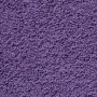 Toallas premium 2 uds 100% algodón morado 100x200 cm 600 gsm de , Toallas - Ref: Foro24-137365, Precio: 50,49 €, Descuento: %