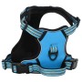 Arnés para perros con bandas reflectantes ajustables azul M de , Productos para perros - Ref: Foro24-4013366, Precio: 22,16 €...