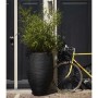 Capi Jarrón Nature Rib elegante Deluxe negro 45x72 cm de Capi, Maceteros y jardineras - Ref: Foro24-434834, Precio: 201,56 €,...