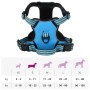 Adjustable blue dog harness with reflective bands S by , Dog products - Ref: Foro24-4013361, Price: 22,99 €, Discount: %