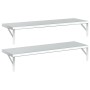 Wandregale 2 Stück Edelstahl silber 100x30 cm von , Regale und Regale - Ref: Foro24-3214503, Preis: 76,31 €, Rabatt: %