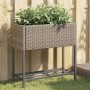 Jardinera con estante ratán sintético gris de , Maceteros y jardineras - Ref: Foro24-366389, Precio: 61,29 €, Descuento: %