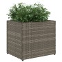 Jardinera de ratán sintético gris 36x30x32 cm de , Maceteros y jardineras - Ref: Foro24-366427, Precio: 35,66 €, Descuento: %