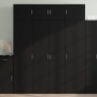 Armario de madera de ingeniería negro 80x42,5x225 cm de , Aparadores - Ref: Foro24-3281351, Precio: 267,28 €, Descuento: %