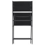 Folding garden chairs 2 units steel and textilene by vidaXL, Garden chairs - Ref: Foro24-313082, Price: 71,66 €, Discount: %