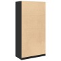 Armario de madera contrachapada negro 100x50x200 cm de , Armarios roperos - Ref: Foro24-3307802, Precio: 189,72 €, Descuento: %