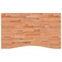 Banco de trabajo madera maciza de haya 100x(55-60)x81,5 cm de , Mesas de trabajo - Ref: Foro24-3309666, Precio: 113,79 €, Des...