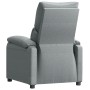 Sillón reclinable de tela gris claro de , Sillones - Ref: Foro24-344903, Precio: 177,93 €, Descuento: %