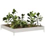 Jardinera de acero inoxidable 100x100x18,5 cm de , Maceteros y jardineras - Ref: Foro24-851014, Precio: 55,94 €, Descuento: %