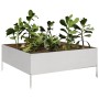 Stainless steel planter 100x100x25 cm by , Pots and planters - Ref: Foro24-851035, Price: 96,73 €, Discount: %