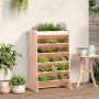 Planter herbs 6 levels solid Douglas fir wood 69x40x101.5cm by , Pots and planters - Ref: Foro24-855051, Price: 92,70 €, Disc...