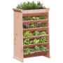 Planter herbs 6 levels solid Douglas fir wood 69x40x101.5cm by , Pots and planters - Ref: Foro24-855051, Price: 92,70 €, Disc...