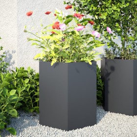 Jardineras hexagonales 2 uds acero antracita 46x40x45 cm de , Maceteros y jardineras - Ref: Foro24-851113, Precio: 75,32 €, D...