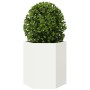 Hexagonal planters 2 units white steel 46x40x45 cm by , Pots and planters - Ref: Foro24-851111, Price: 75,99 €, Discount: %