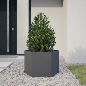 Hexagonal planter in anthracite grey steel, 69x60x45 cm by , Pots and planters - Ref: Foro24-851124, Price: 61,09 €, Discount: %