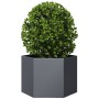 Hexagonal planter in anthracite grey steel, 69x60x45 cm by , Pots and planters - Ref: Foro24-851124, Price: 61,09 €, Discount: %