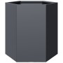 Hexagonal planter in anthracite grey steel, 46x40x45 cm by , Pots and planters - Ref: Foro24-851112, Price: 46,05 €, Discount: %