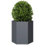 Hexagonal planter in anthracite grey steel, 46x40x45 cm by , Pots and planters - Ref: Foro24-851112, Price: 46,05 €, Discount: %