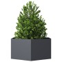 Jardinera hexagonal de acero gris antracita 104x90x45 cm de , Maceteros y jardineras - Ref: Foro24-851131, Precio: 99,07 €, D...