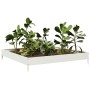 Arriate de acero blanco 100x100x18,5 cm de , Maceteros y jardineras - Ref: Foro24-851011, Precio: 44,99 €, Descuento: %