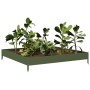 Olive green steel flowerbed 100x100x18.5 cm by , Pots and planters - Ref: Foro24-851013, Price: 44,56 €, Discount: %