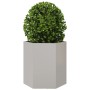 Jardinera hexagonal acero inoxidable 46x40x45 cm de , Maceteros y jardineras - Ref: Foro24-851116, Precio: 68,85 €, Descuento: %