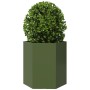 Jardinera hexagonal de acero verde 46x40x45 cm de , Maceteros y jardineras - Ref: Foro24-851114, Precio: 55,49 €, Descuento: %