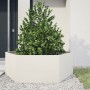 Jardinera hexagonal acero blanco 138x120x45 cm de , Maceteros y jardineras - Ref: Foro24-851137, Precio: 112,92 €, Descuento: %