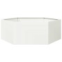 Jardinera hexagonal acero blanco 138x120x45 cm de , Maceteros y jardineras - Ref: Foro24-851137, Precio: 112,92 €, Descuento: %