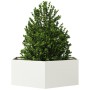 Jardinera hexagonal acero blanco 138x120x45 cm de , Maceteros y jardineras - Ref: Foro24-851137, Precio: 112,92 €, Descuento: %