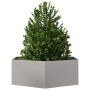 Stainless steel hexagonal planter 138x120x45 cm by , Pots and planters - Ref: Foro24-851140, Price: 138,99 €, Discount: %