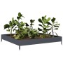 Arriate de acero gris antracita 100x100x18,5 cm de , Maceteros y jardineras - Ref: Foro24-851012, Precio: 44,99 €, Descuento: %