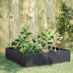 Arriate de acero gris antracita 100x100x25 cm de , Maceteros y jardineras - Ref: Foro24-851033, Precio: 70,99 €, Descuento: %